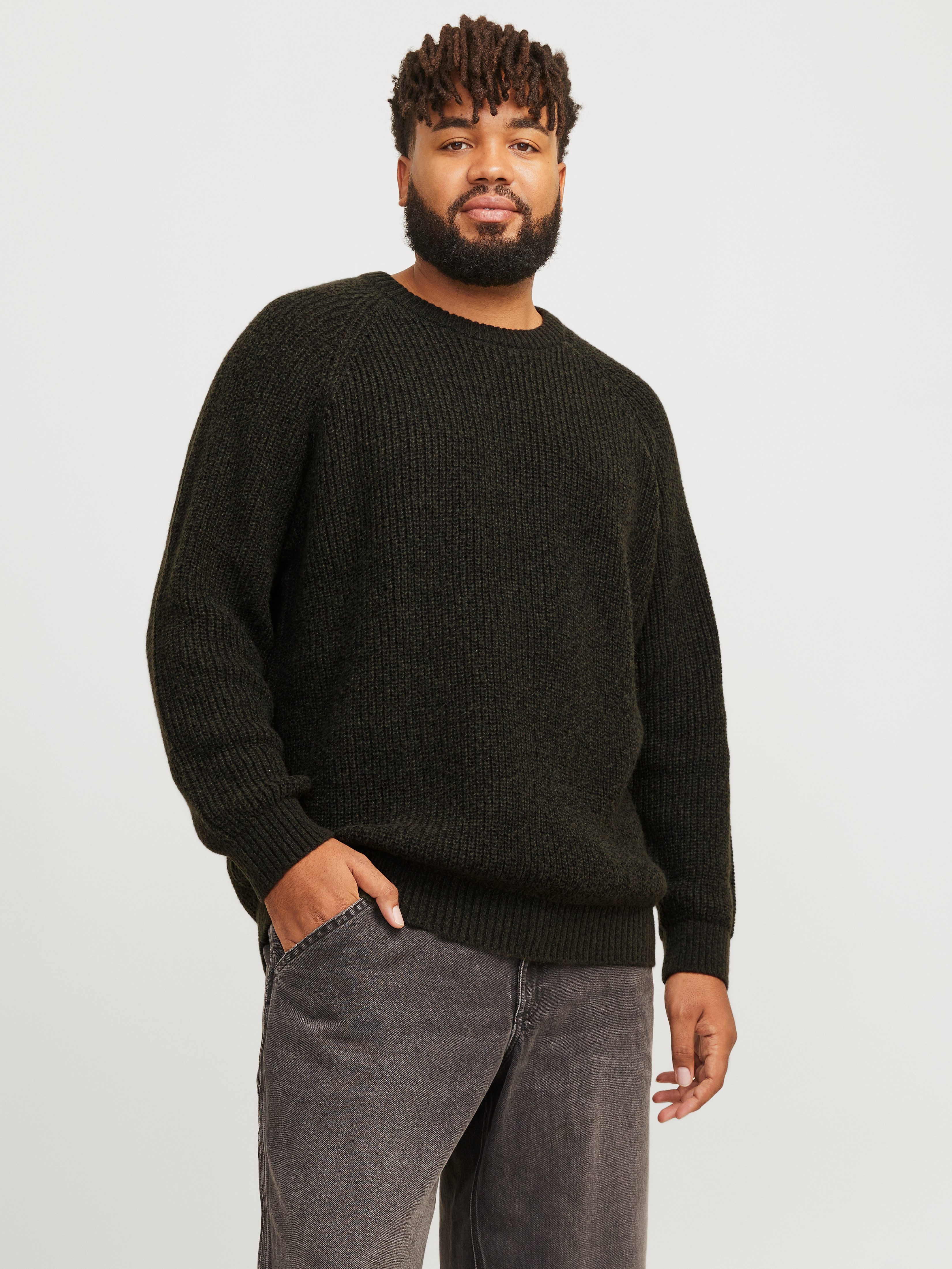 Jack & Jones PlusSize Rundhalspullover JJJONES günstig online kaufen