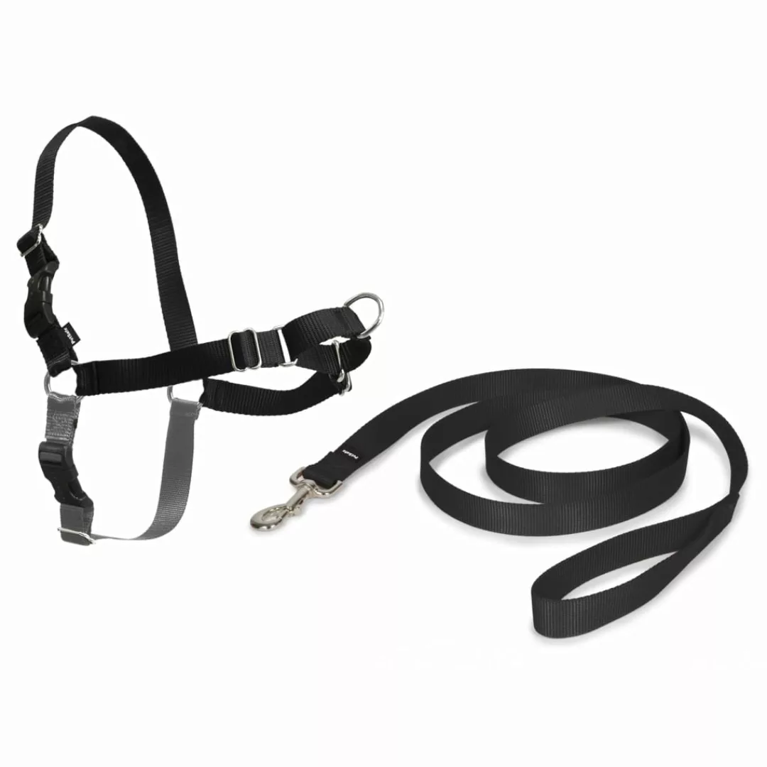 Petsafe Hundegeschirr Easy Walk L Schwarz günstig online kaufen