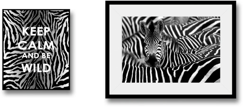 queence Bild "Zebra", Abstrakt-Schwarz-Weiß-Schriftzug-Zebra Bilder-Zebras- günstig online kaufen