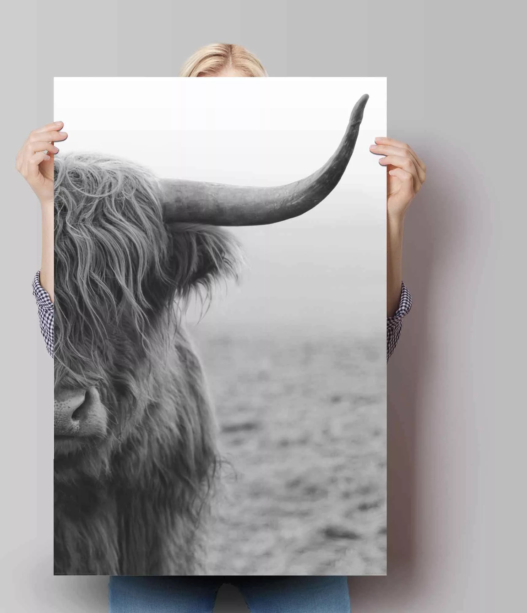 Reinders! Poster »Poster Highlander Bulle«, Kuh, (1 St.) günstig online kaufen