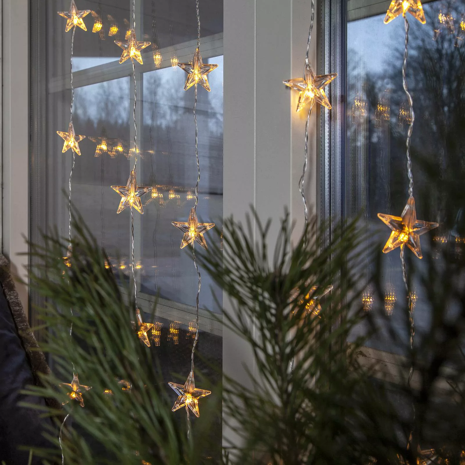 LED Lichtervorhang Star Curtain in Transparent 1W 52lm günstig online kaufen