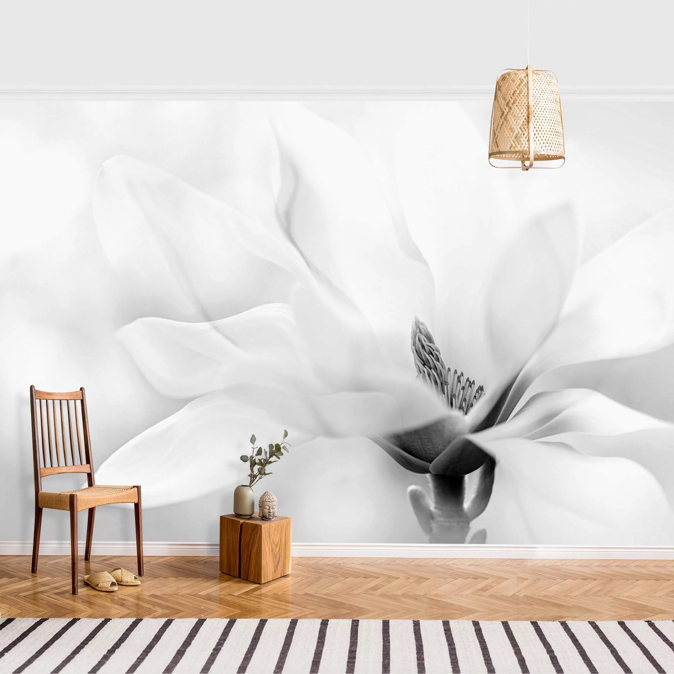 Fototapete Zarte Magnolienblüte Schwarz-Weiß günstig online kaufen