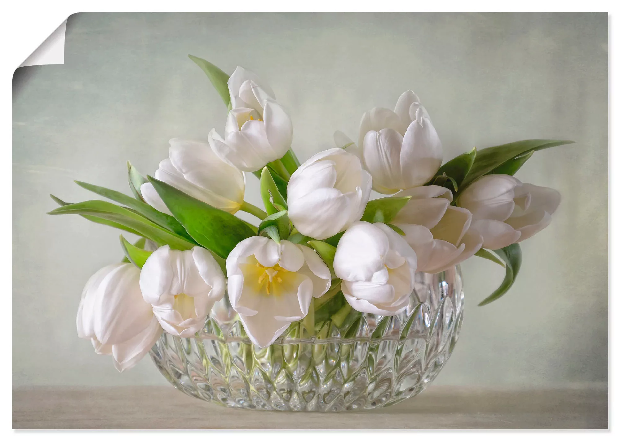 Artland Wandbild »Weiße Tulpen«, Blumen, (1 St.) günstig online kaufen