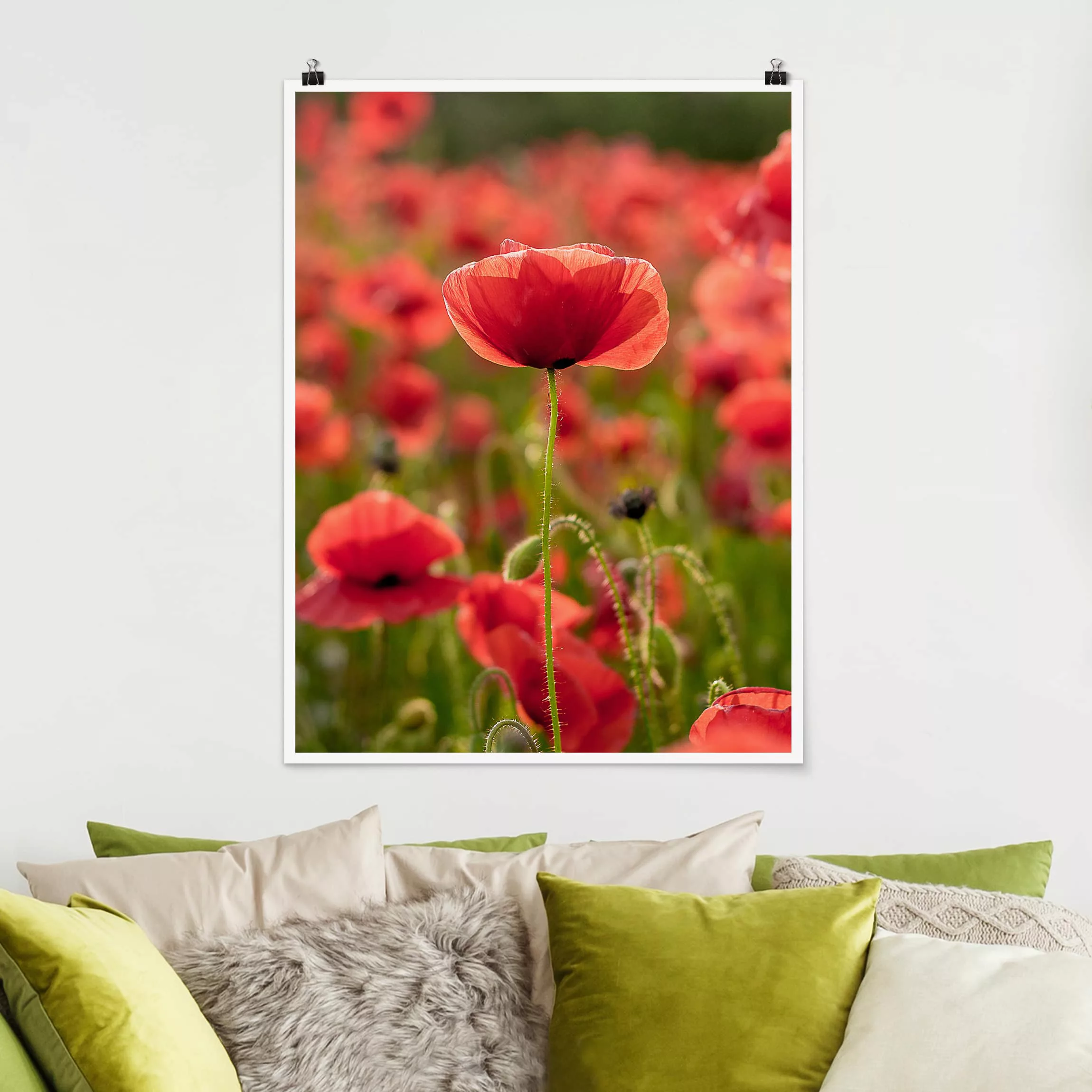 Poster Blumen - Hochformat Mohnfeld im Sonnenlicht günstig online kaufen