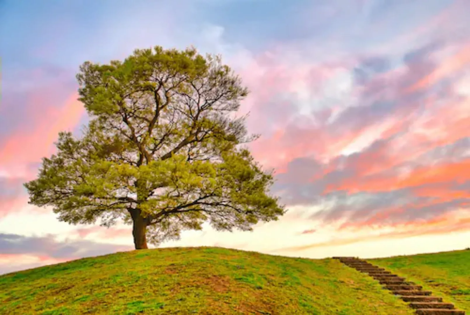 Papermoon Fototapete »Baum in Landschaft« günstig online kaufen