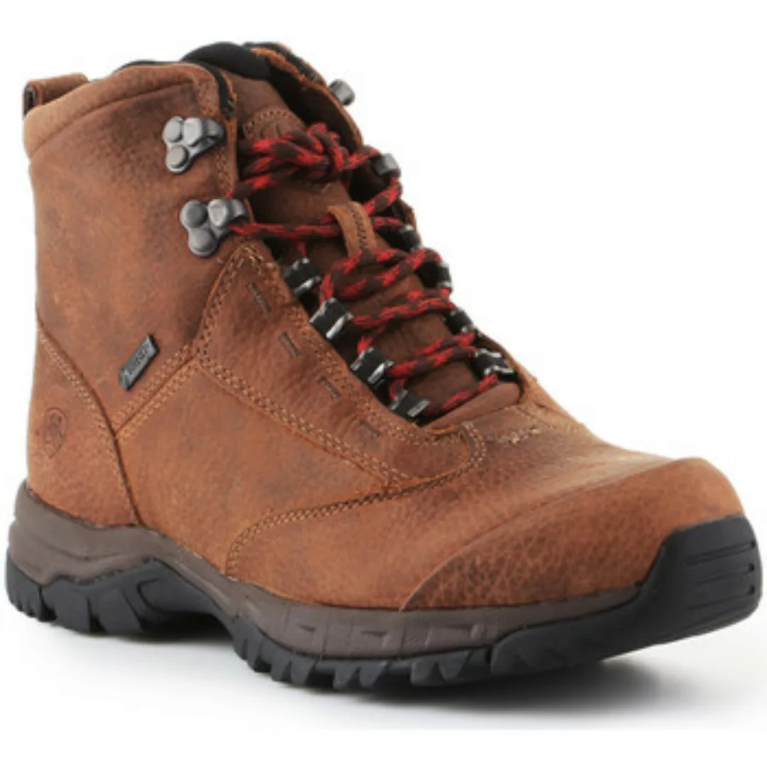 Ariat  Damenschuhe Trekkingschuhe  Berwick Lace Gtx Insulated 10016229 günstig online kaufen