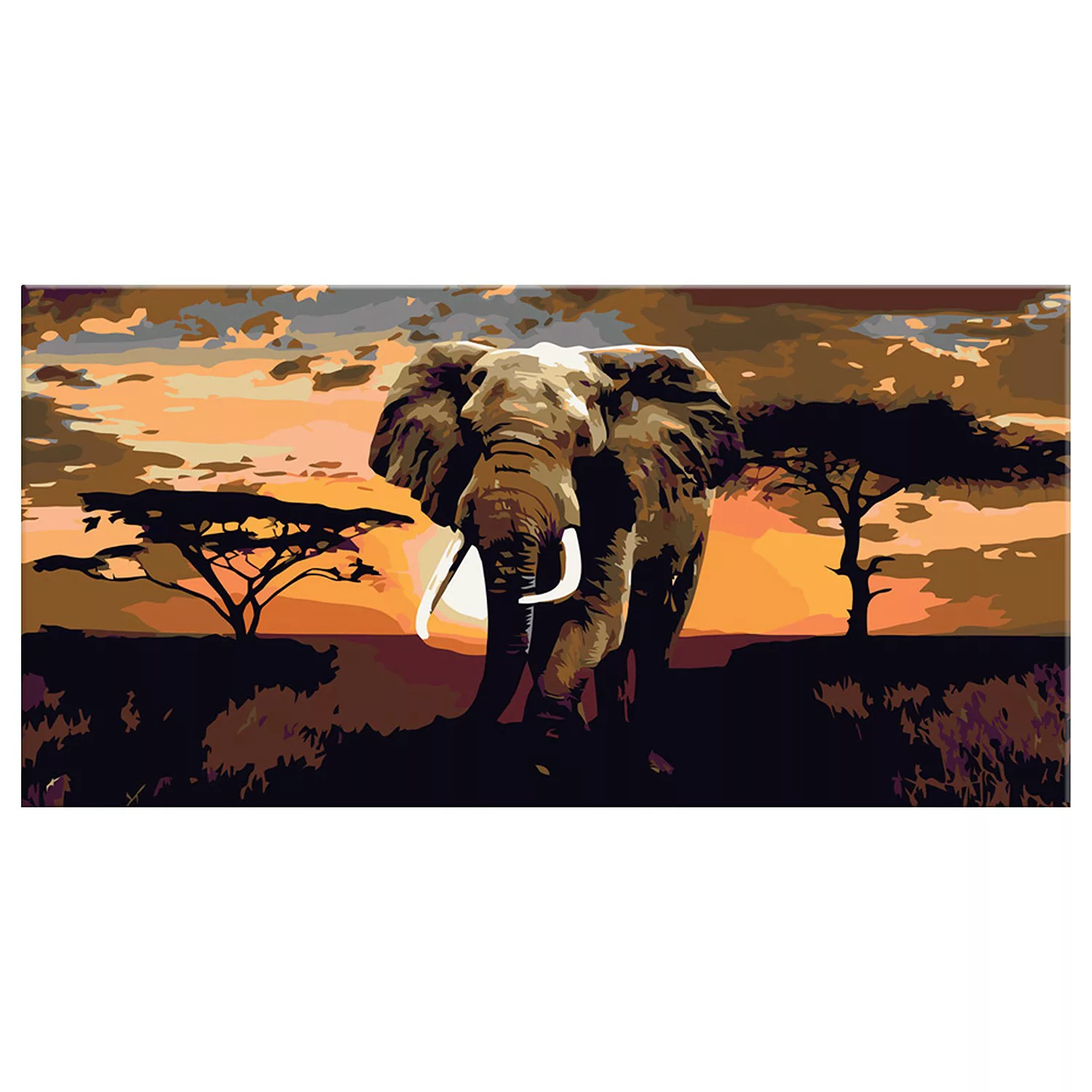 home24 Malen nach Zahlen - Elefant in Afrika günstig online kaufen