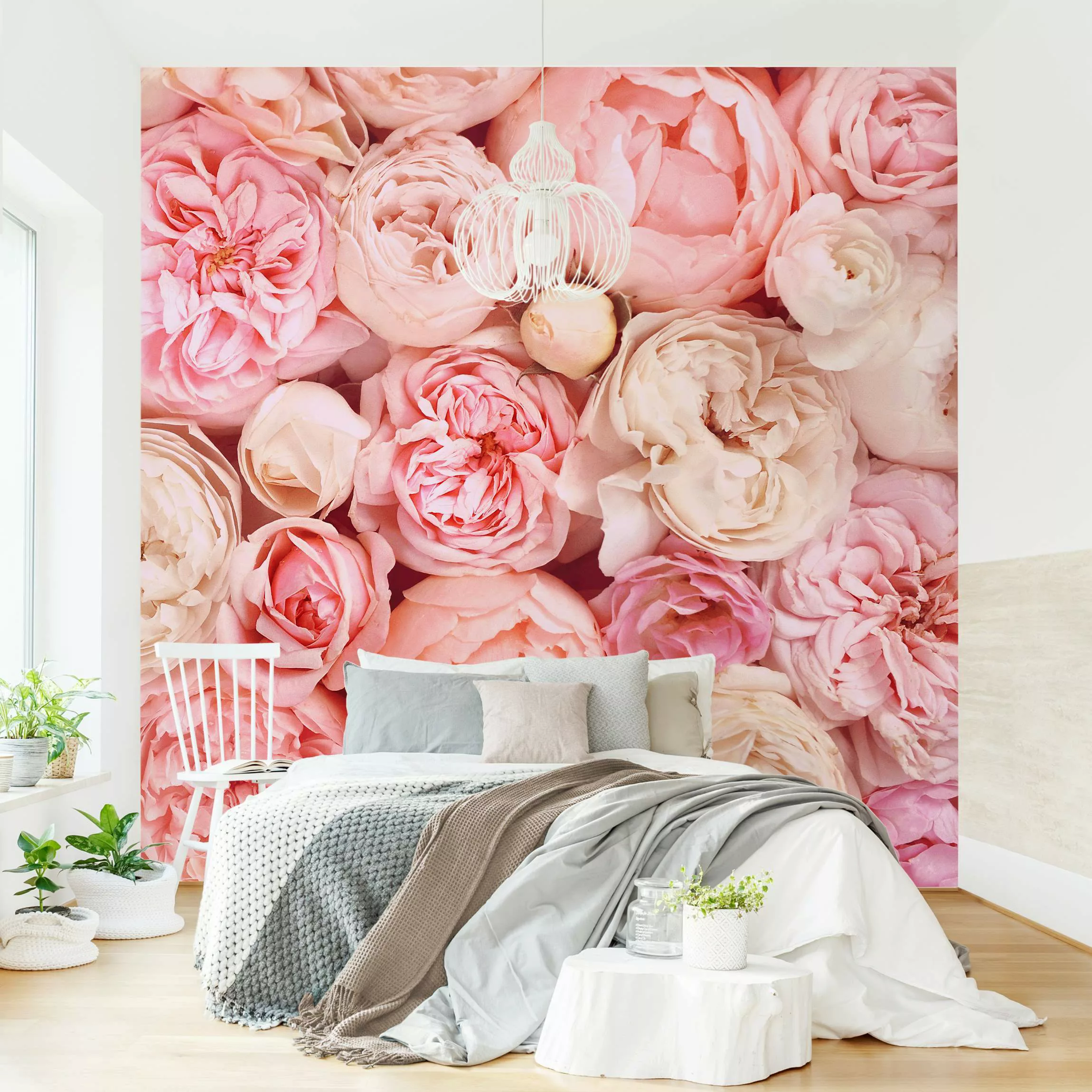 Fototapete Rosen Rosé Koralle Shabby günstig online kaufen