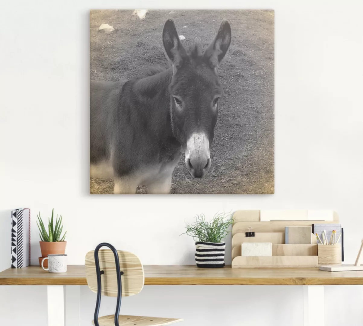 Artland Wandbild "Esel Kontakt", Haustiere, (1 St.), als Leinwandbild, Post günstig online kaufen