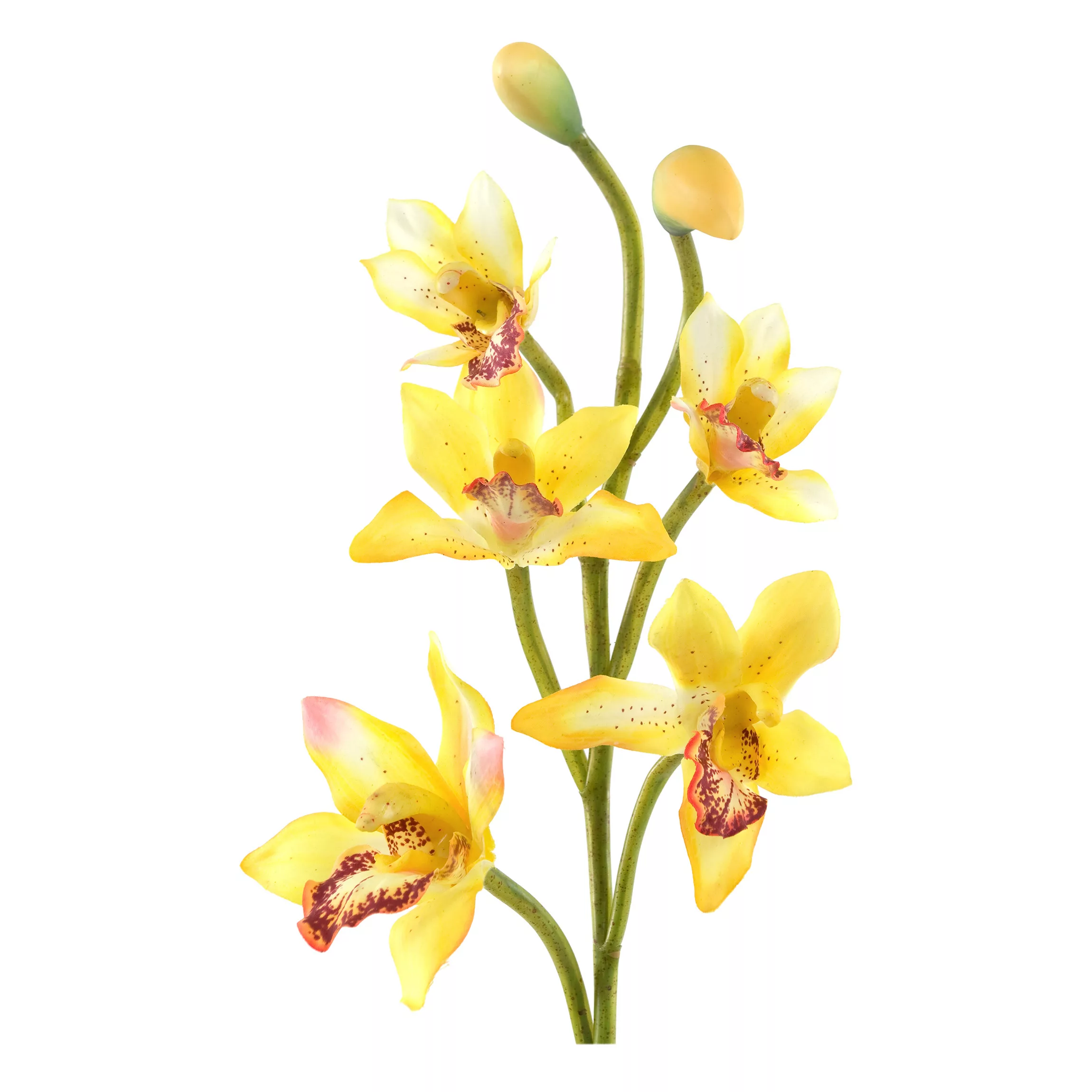 Wandtattoo Blumen No.173 Orchidee Gelb günstig online kaufen