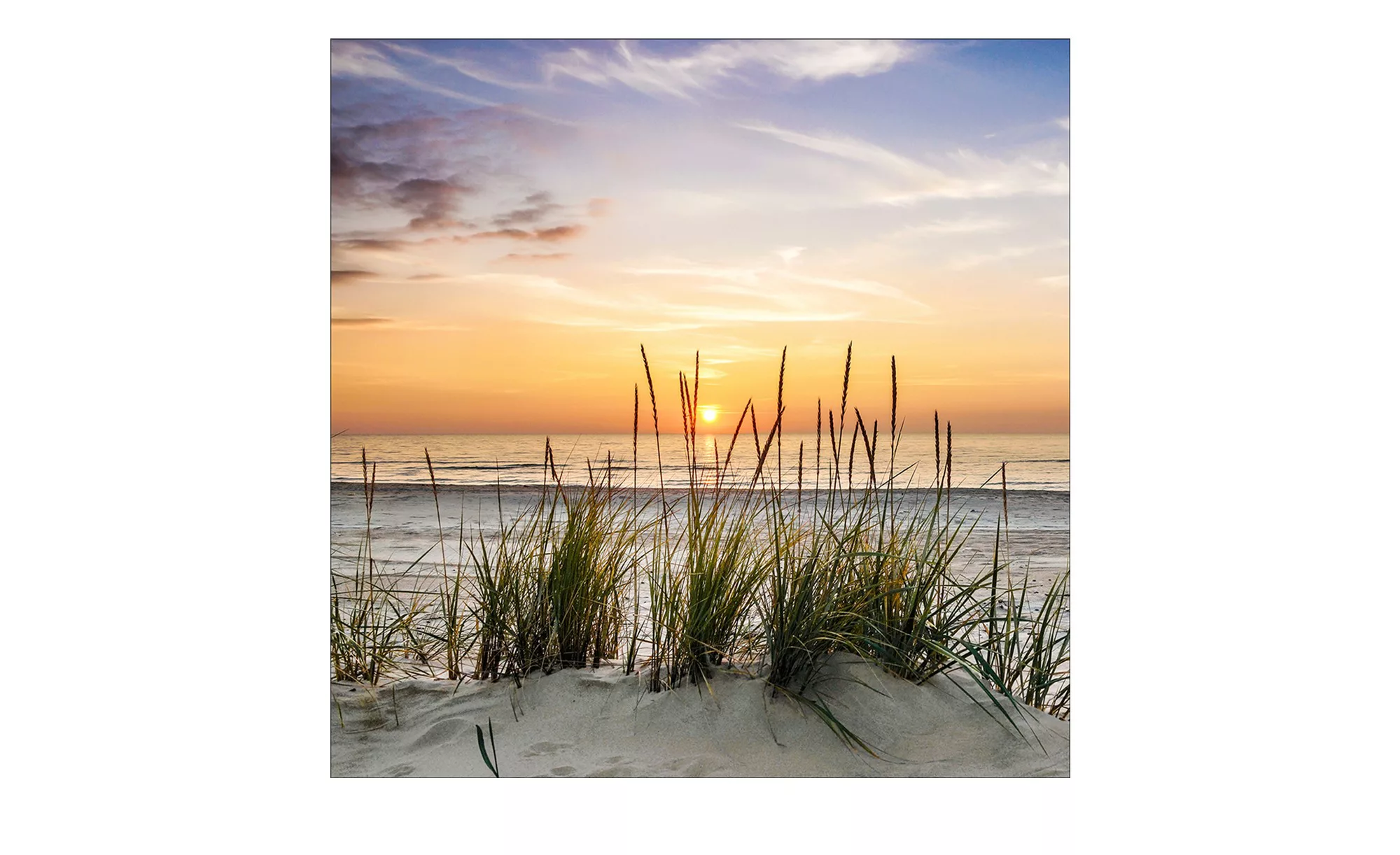 Glasbild 20x20 cm  Lonely Dune - 20 cm - 20 cm - Sconto günstig online kaufen