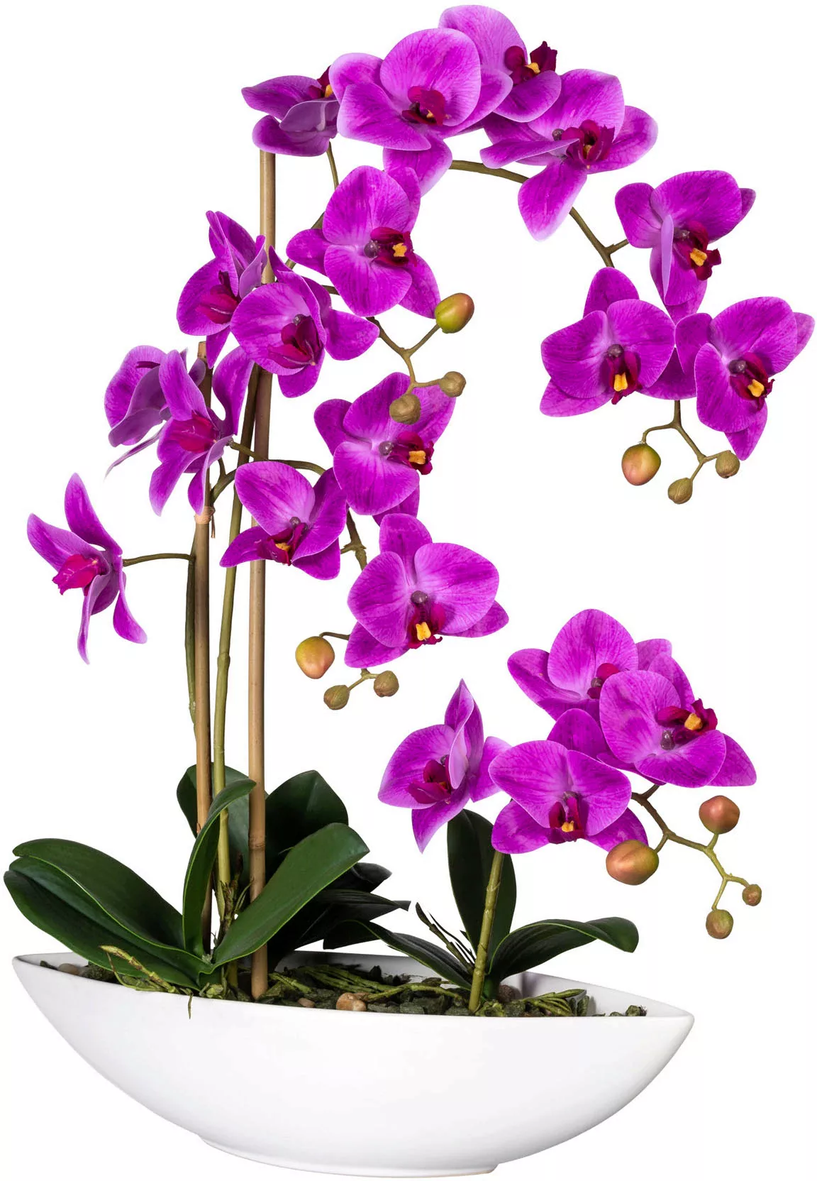 Creativ green Kunstorchidee "Phalaenopsis", im Keramikschiff günstig online kaufen