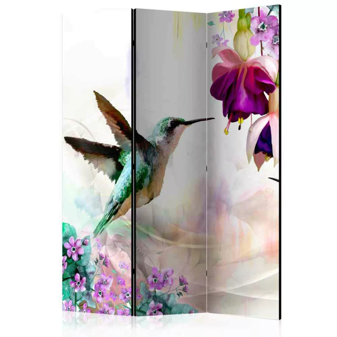 Sichtschutz Paravent mit Kolibri und Blüte 3 teilig günstig online kaufen