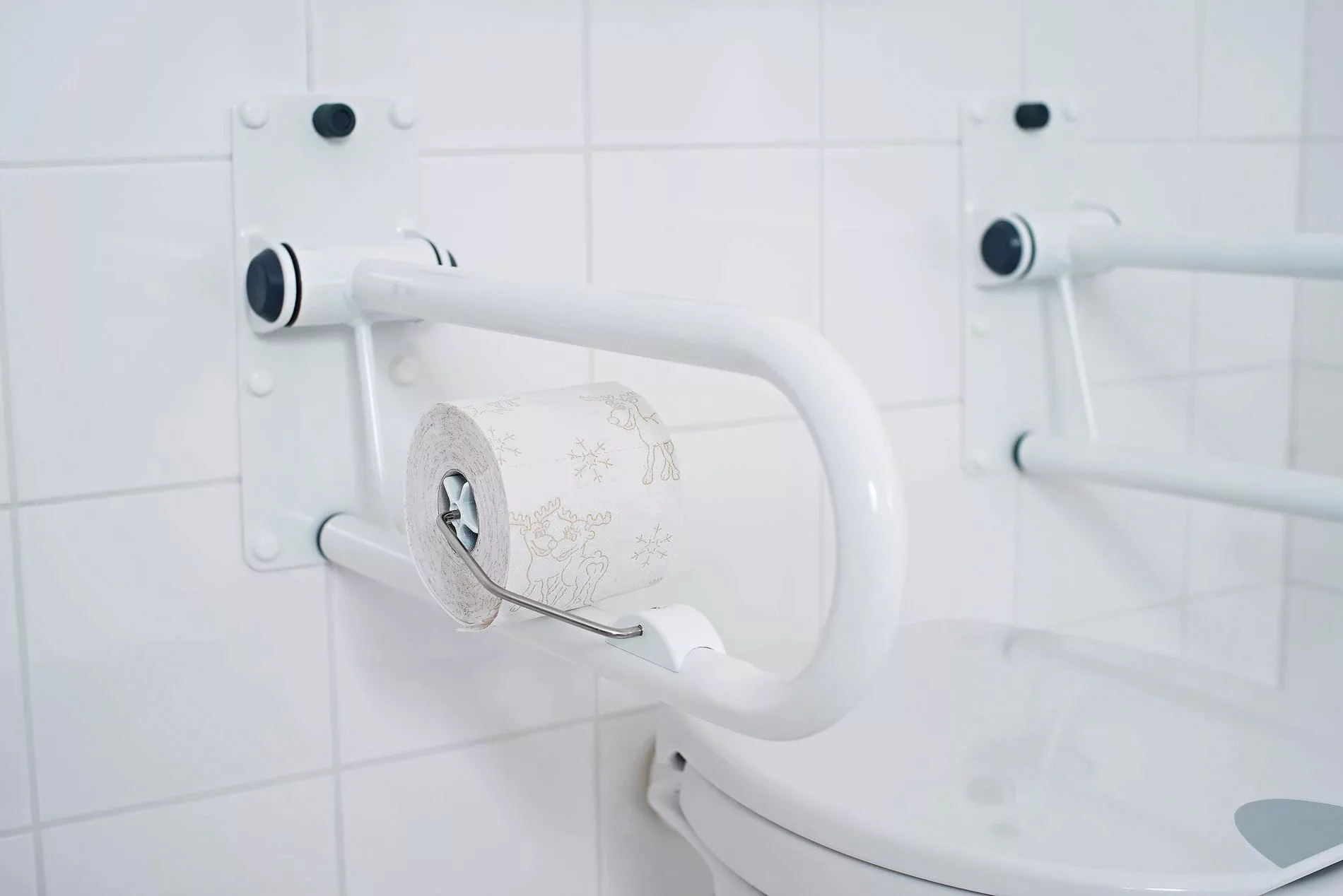 Ridder Toilettenpapierhalter »Tim« günstig online kaufen