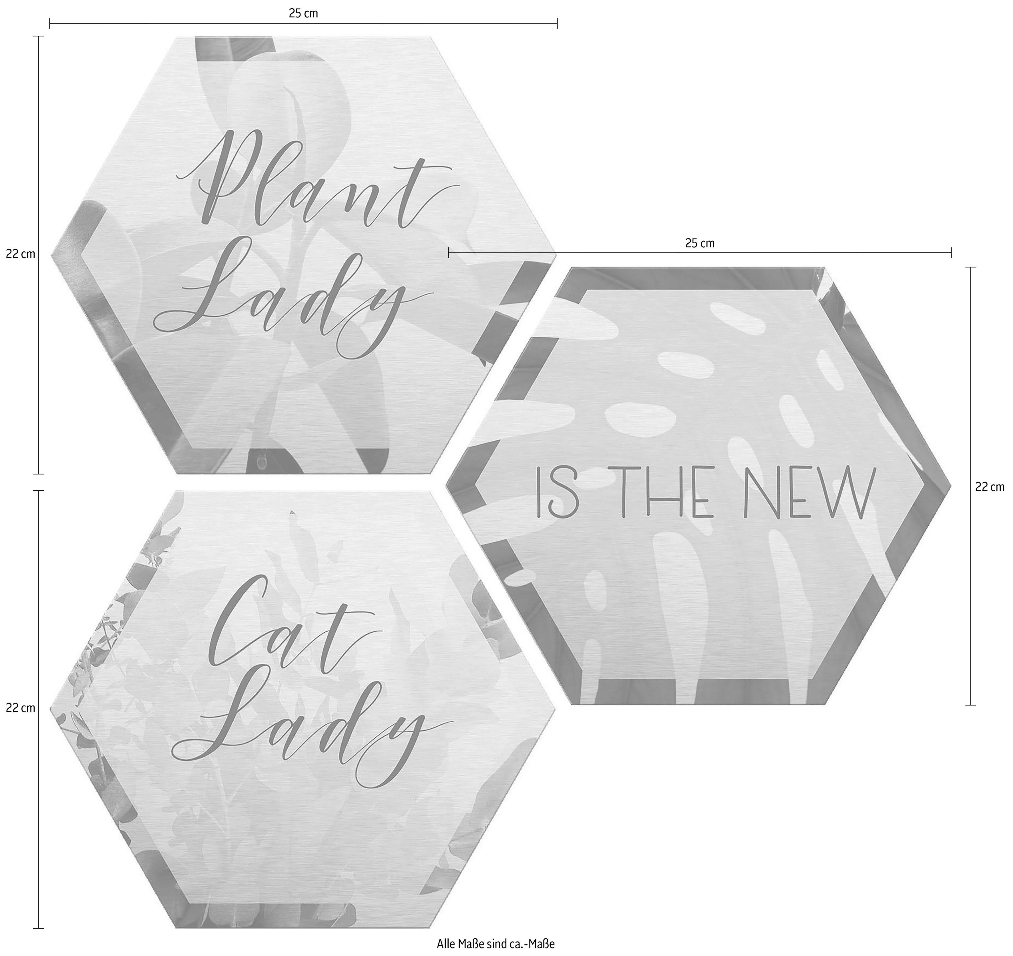 Wall-Art Metallbild "Plantlady is the new Catlady", Natur, (Set) günstig online kaufen