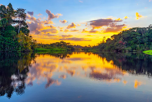 Papermoon Fototapete »REGENWALD-AMAZONAS WALD LAGUNE SONNENMUNTERGANG FLUSS günstig online kaufen