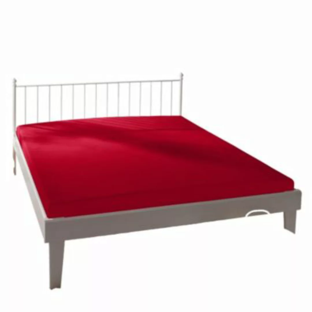 Estella Spannbettlaken Single-Jersey rot Gr. 90-100 x 210-220 günstig online kaufen