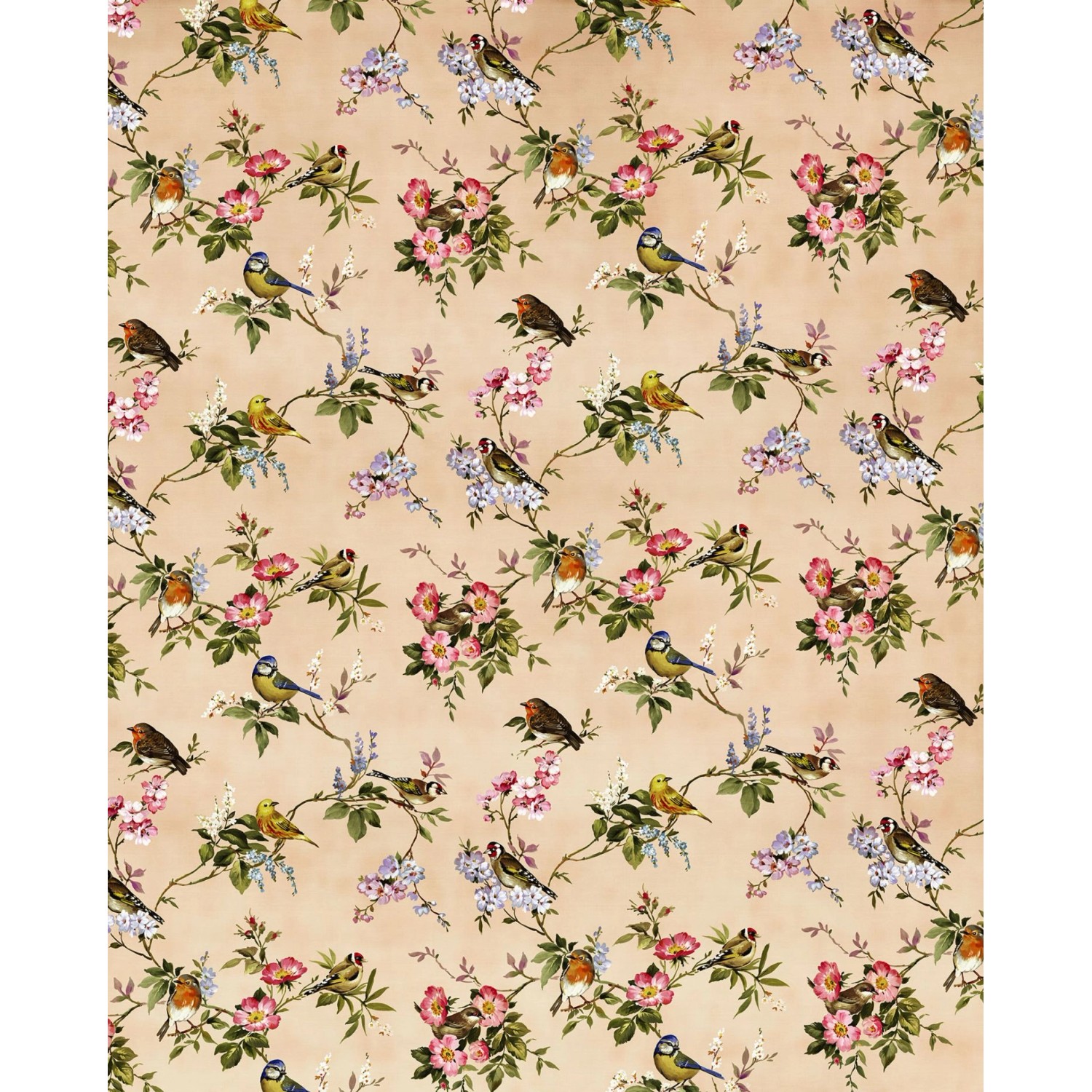 Komar Fototapete Blumen und Vögel Multicolor 200 x 250 cm 611171 günstig online kaufen