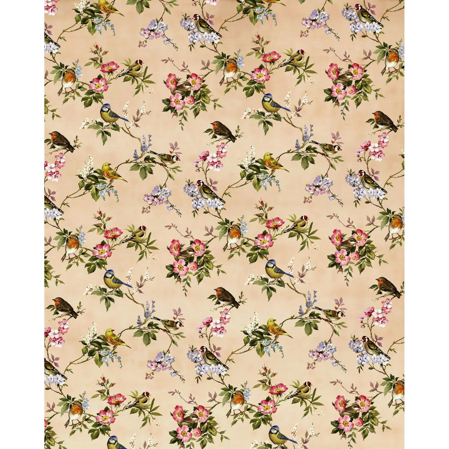 Komar Fototapete Blumen und Vögel Multicolor 200 x 250 cm 611171 günstig online kaufen