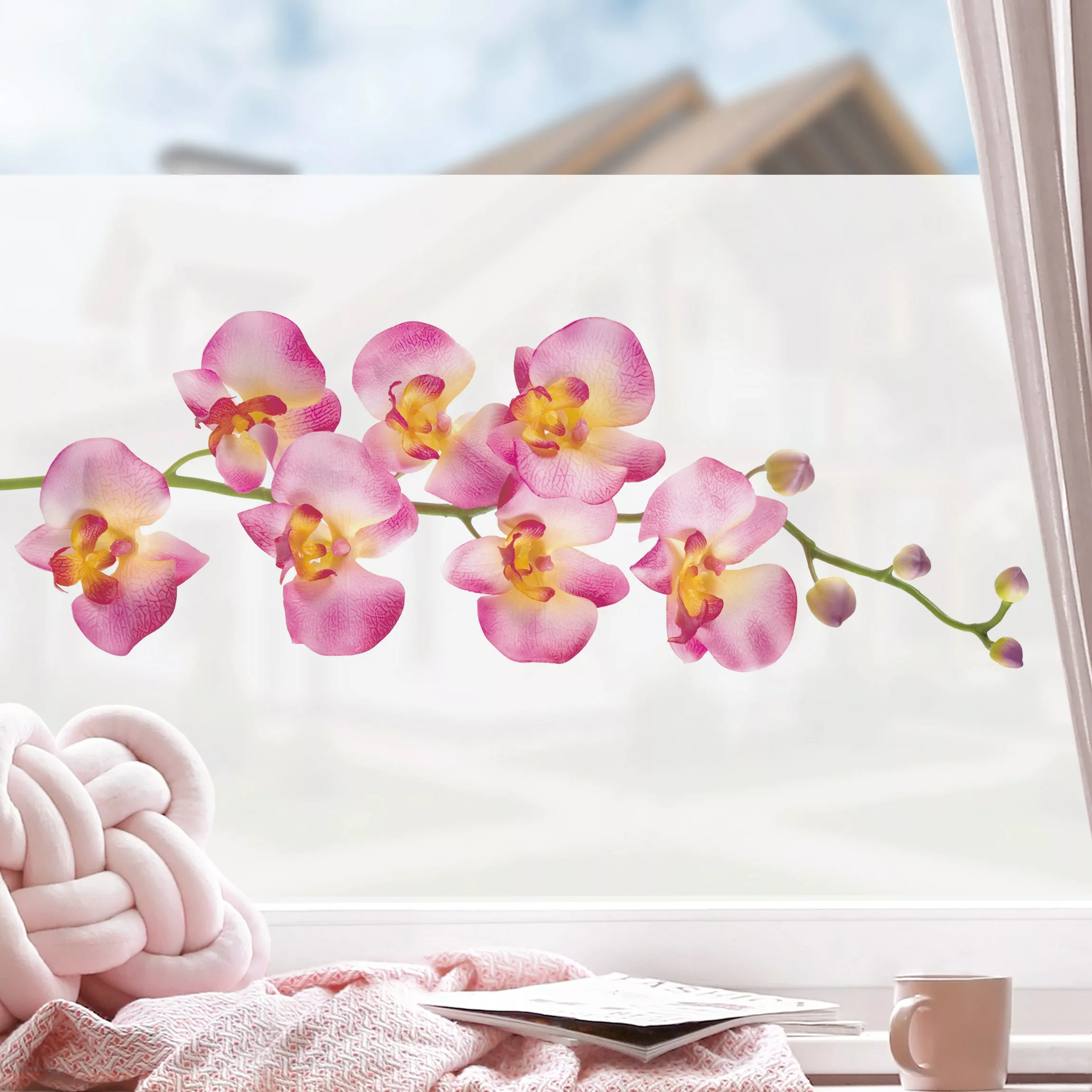 Fensterfolie No.177 Orchidee Rosa II günstig online kaufen