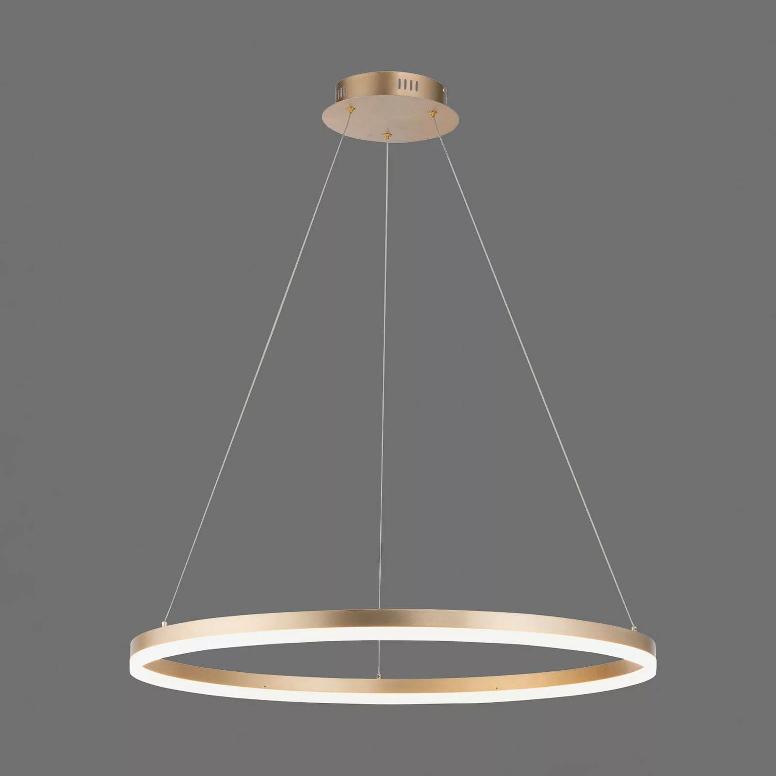 Paul Neuhaus LED-Hängelampe Titus, Ø 80 cm, messing, dimmbar günstig online kaufen