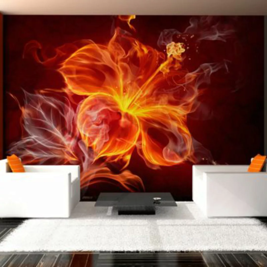 artgeist Fototapete Fiery flower mehrfarbig Gr. 150 x 105 günstig online kaufen