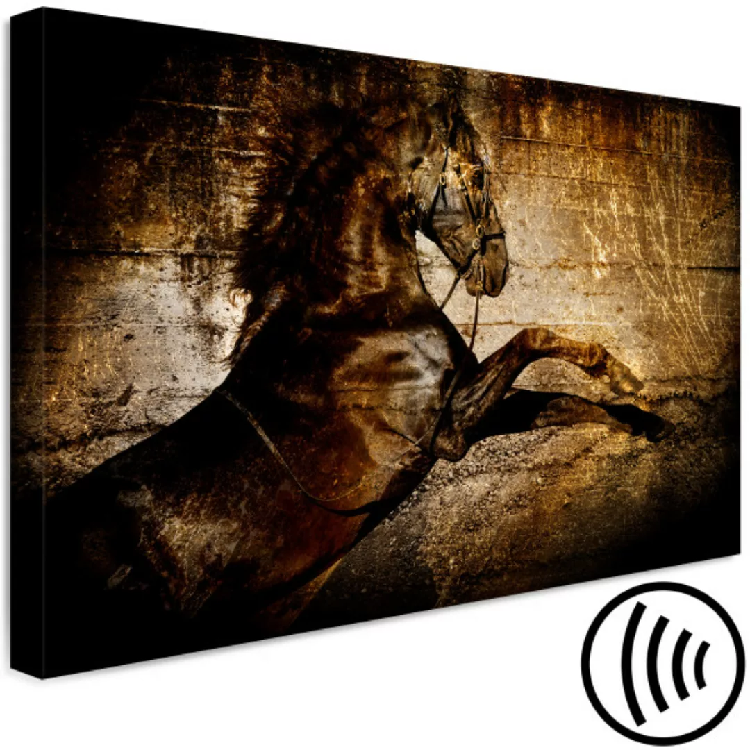 Bild auf Leinwand Goldenes Pferd - Abstraktion mit einem Reitermotiv mit go günstig online kaufen