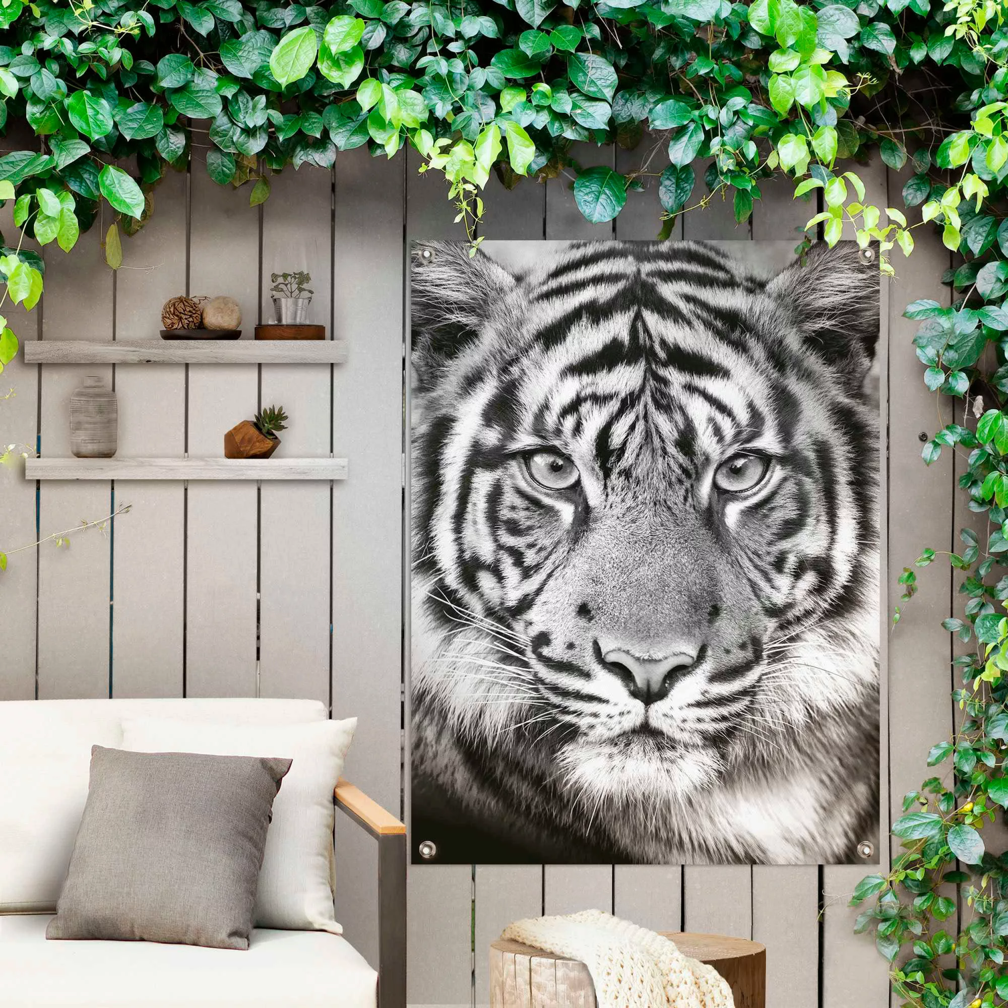 Reinders Poster "Tigerblick" günstig online kaufen