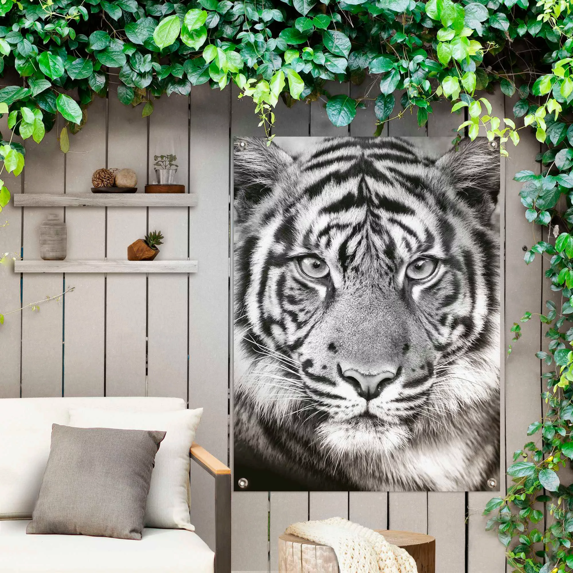 Reinders! Poster »Tigerblick« günstig online kaufen