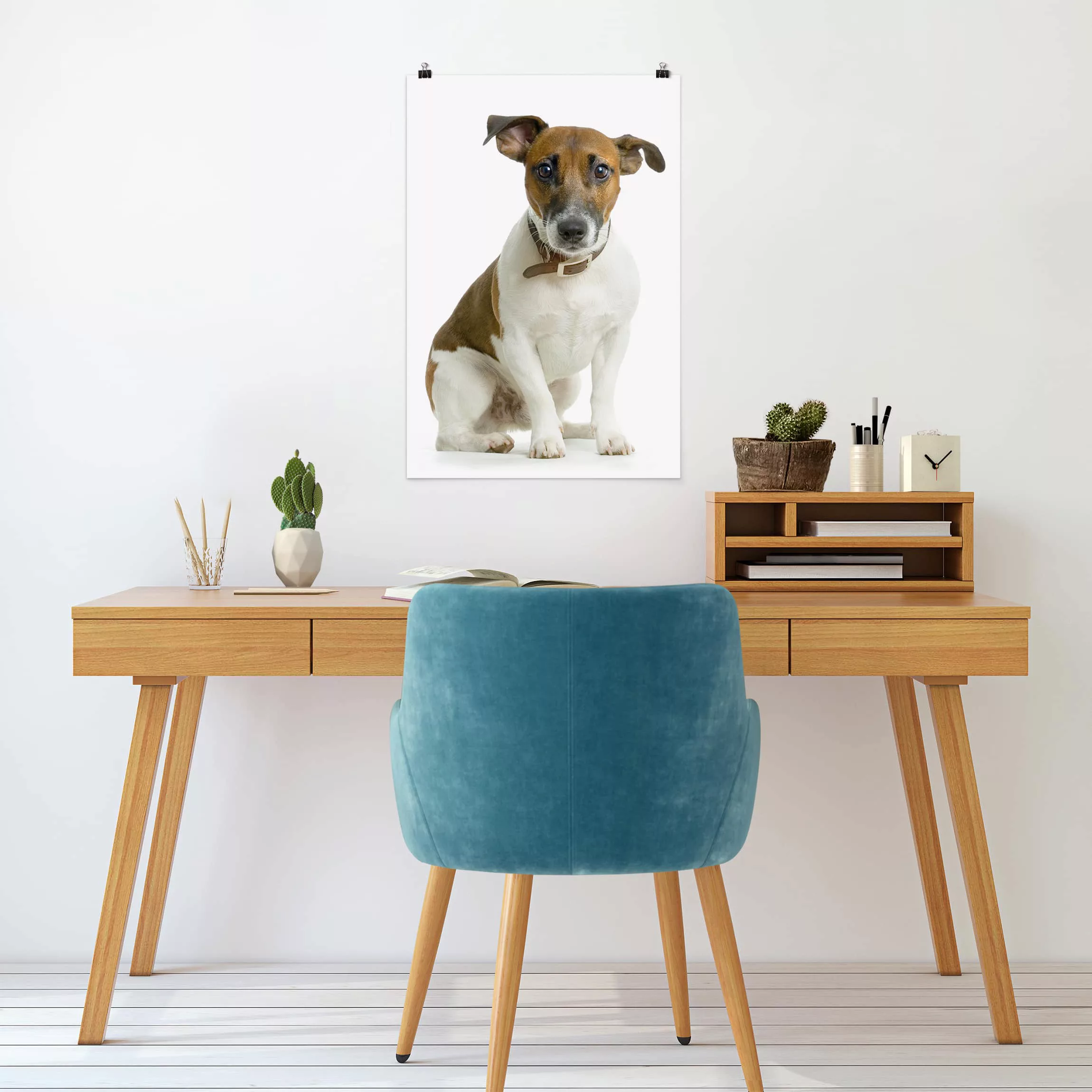 Poster Tiere - Hochformat Dackelblick günstig online kaufen