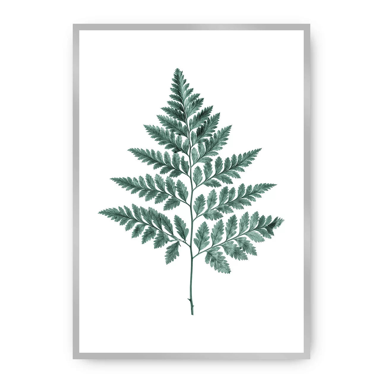 Poster Fern Emerald Green, 40 x 50 cm , Rahmen wählen: silber günstig online kaufen