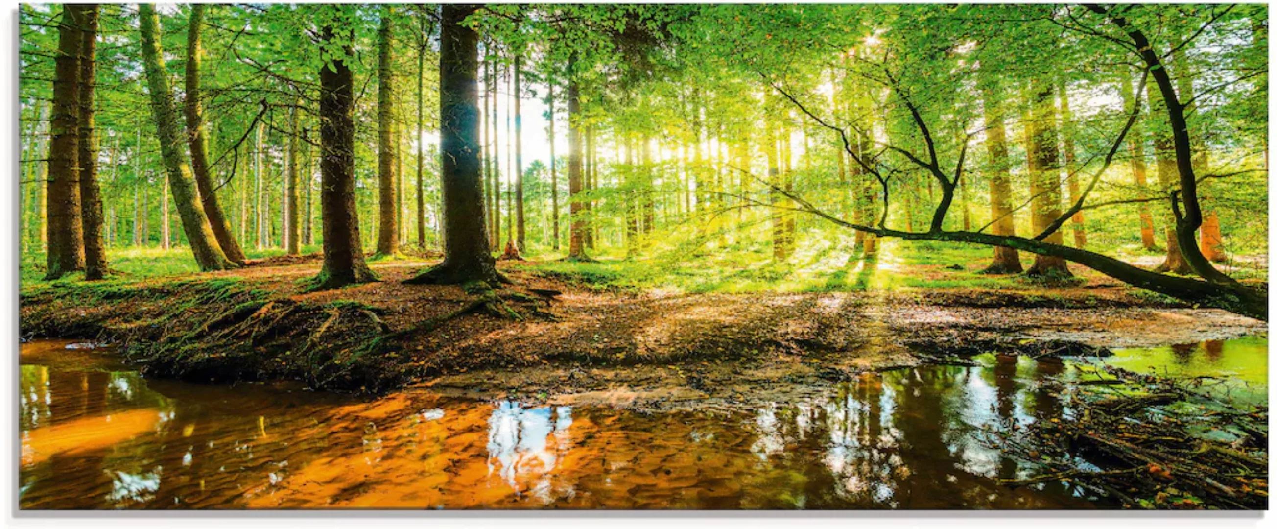 Artland Glasbild »Wald mit Bach«, Wald, (1 St.), in verschiedenen Größen günstig online kaufen