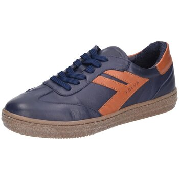 Andrea Conti  Halbschuhe Schnuerschuhe Sneaker 0067151/1810 günstig online kaufen