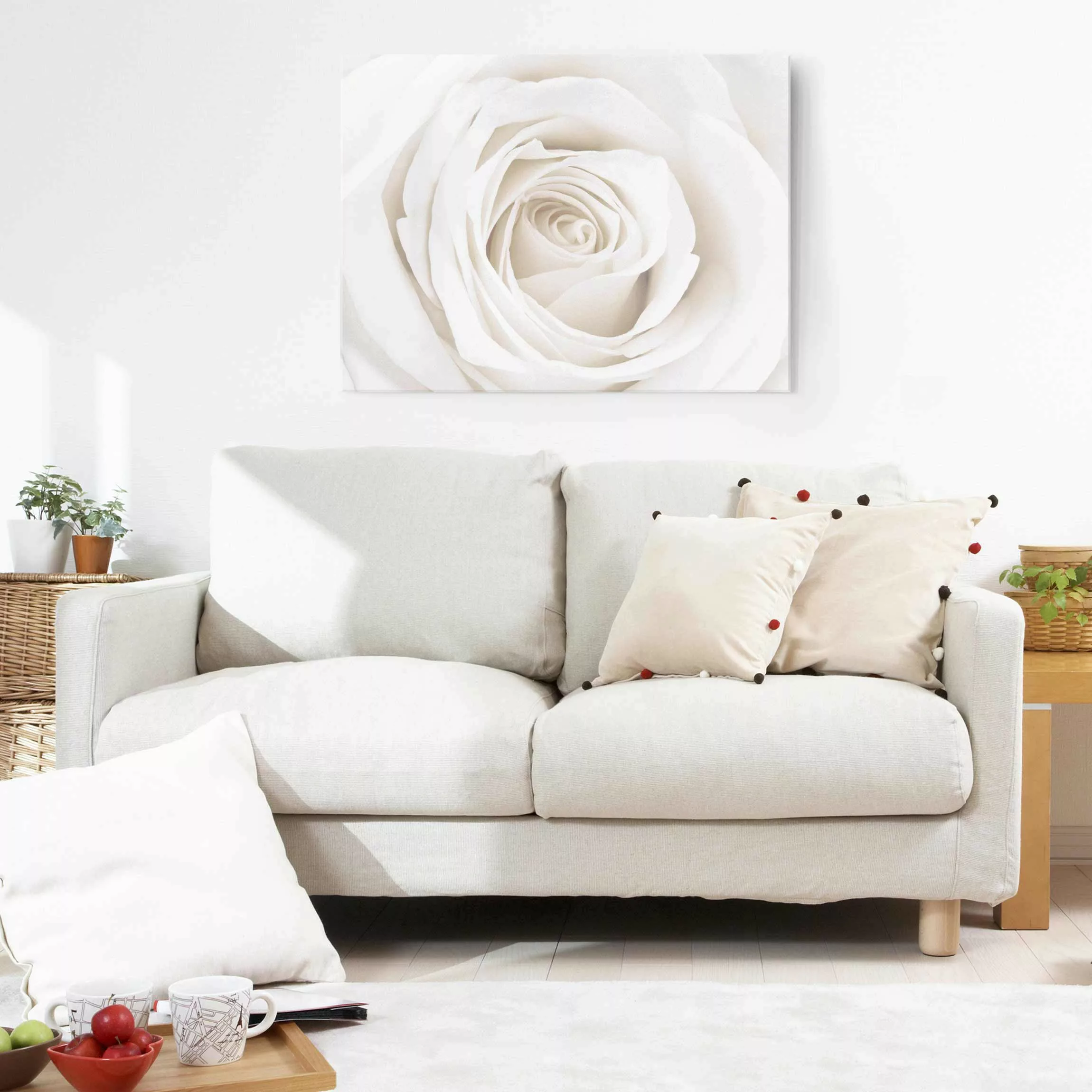 Glasbild Blumen - Querformat Pretty White Rose günstig online kaufen