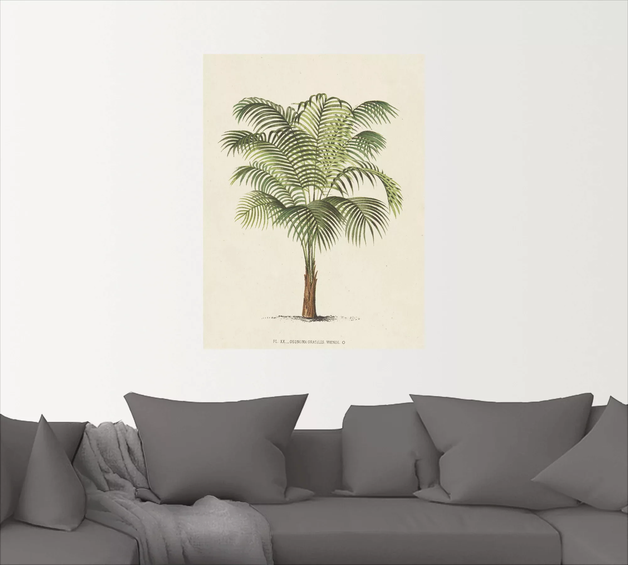 Artland Wandbild "Palme II", Pflanzen, (1 St.), als Leinwandbild, Poster, W günstig online kaufen