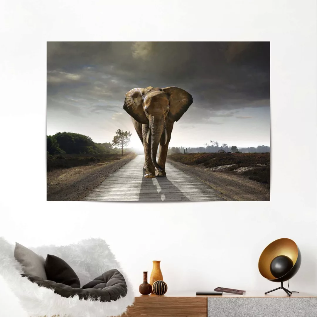 Reinders Poster "Elefantenkönig" günstig online kaufen