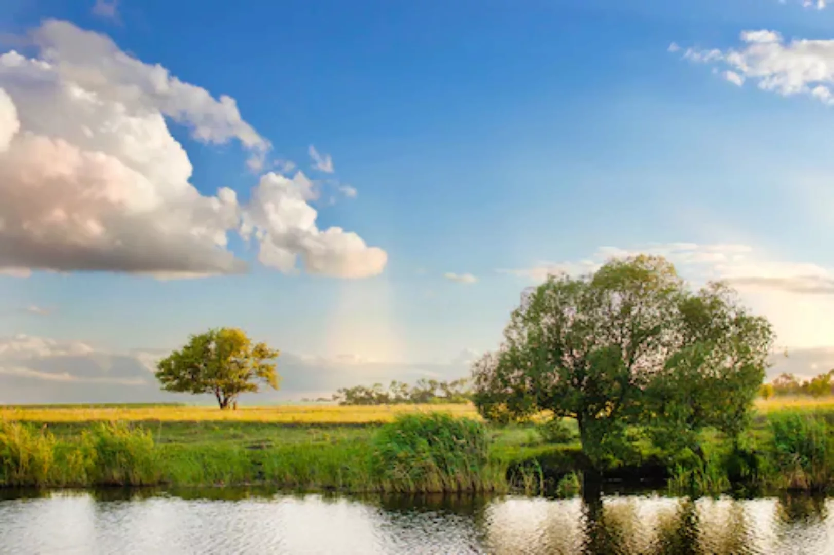 Papermoon Fototapete »River Tree Landscape« günstig online kaufen