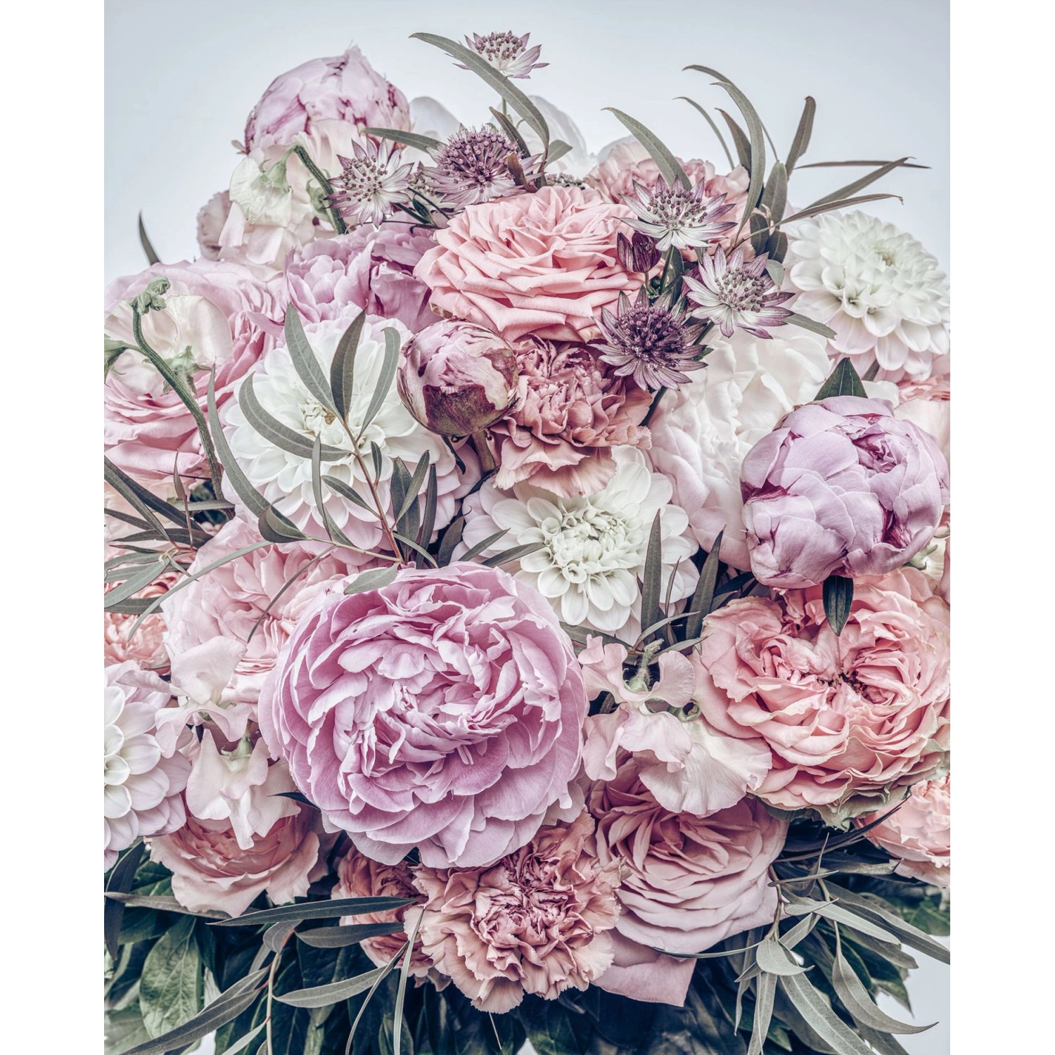 Komar Fototapete Zestful Rosa 200 x 250 cm 611173 günstig online kaufen