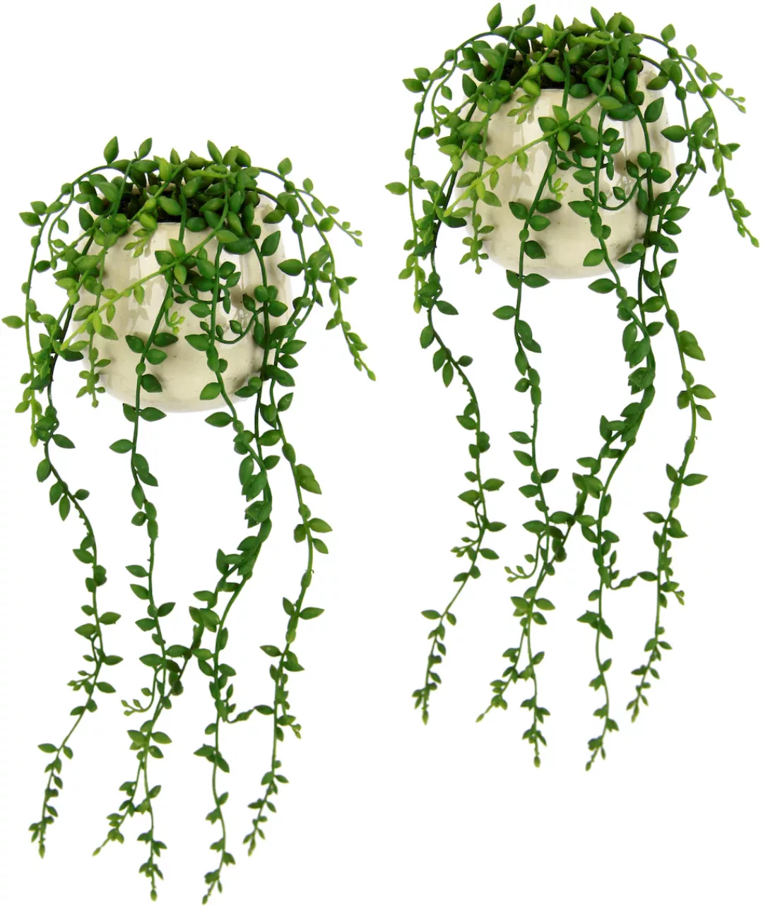 I.GE.A. Kunstpflanze "Senecio im Topf 2er Set künstlich Pflanze Hängepflanz günstig online kaufen