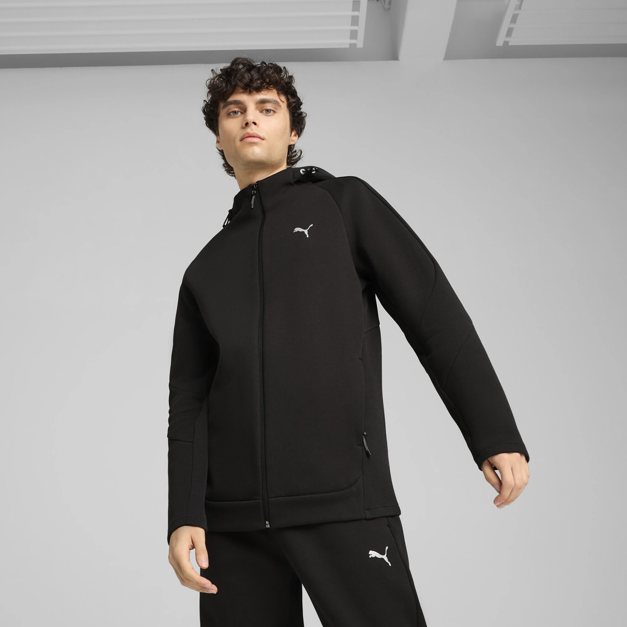 PUMA Kapuzensweatshirt "EVOSTRIPE FULL-ZIP HOODIE DK" günstig online kaufen