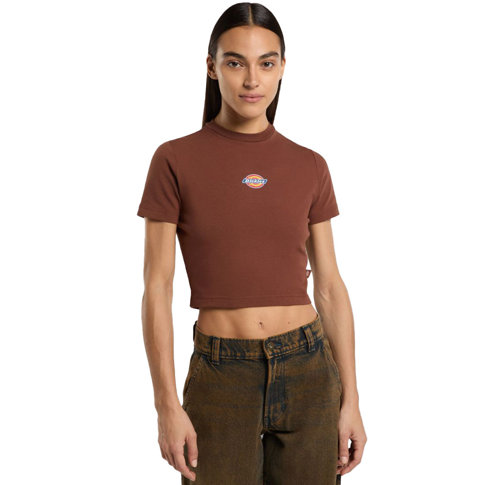 Dickies Maple Valley Tee günstig online kaufen