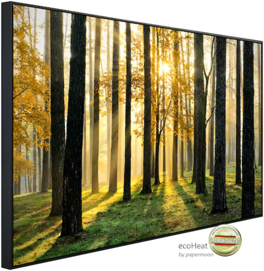 Papermoon Infrarotheizung »Sonniger Wald« günstig online kaufen