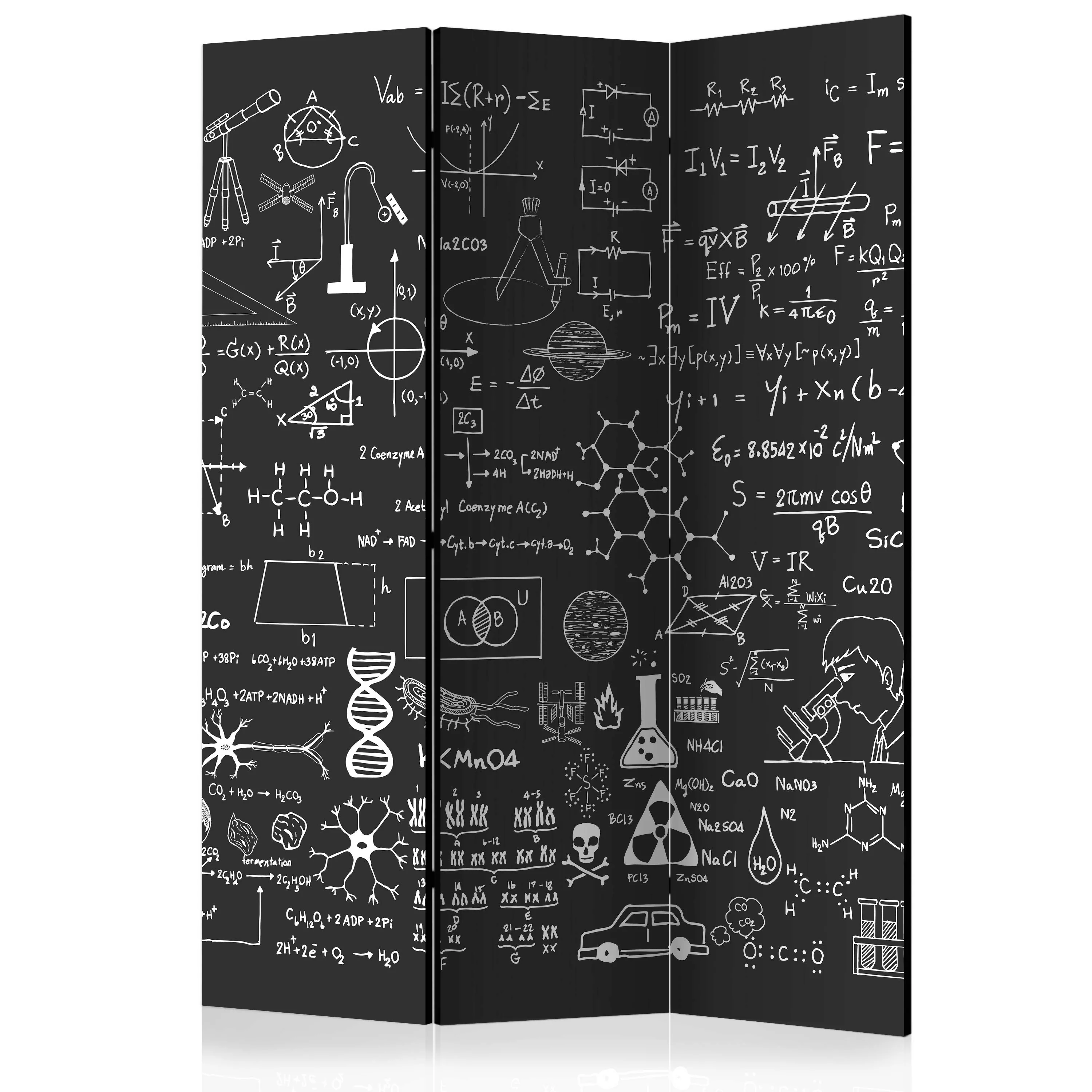 3-teiliges Paravent - Science On Chalkboard [room Dividers] günstig online kaufen