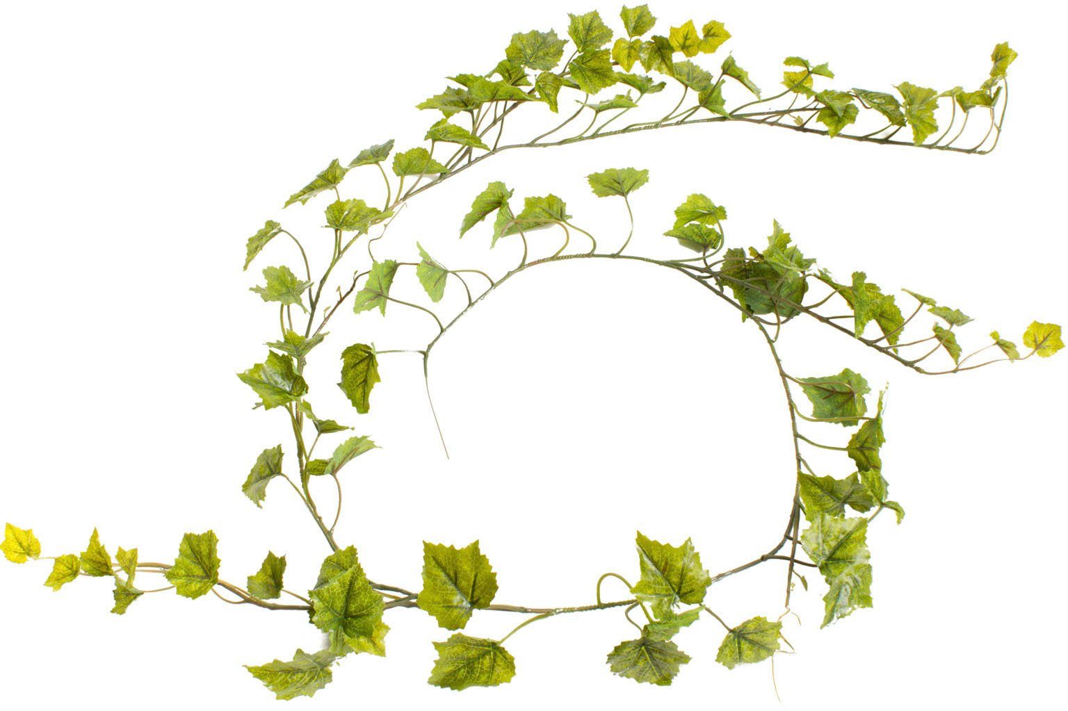 Künstliche Zimmerpflanze Weinlaubgirlande Weinlaub, Botanic-Haus, Höhe günstig online kaufen