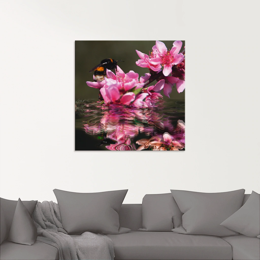 Artland Glasbild "Pfirsichblüte mit Hummel", Blumen, (1 St.), in verschiede günstig online kaufen