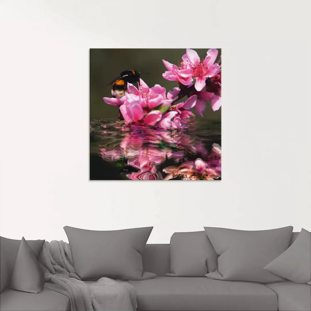 Artland Glasbild "Pfirsichblüte mit Hummel", Blumen, (1 St.), in verschiede günstig online kaufen