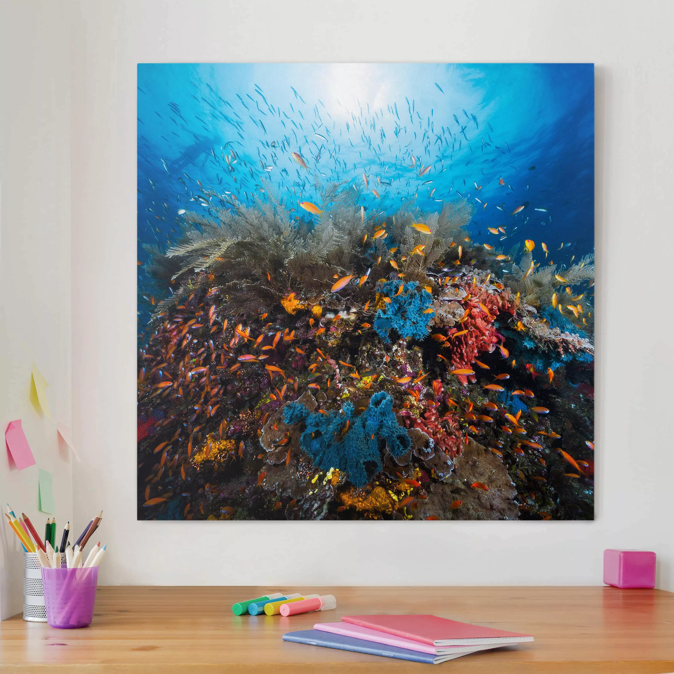 Leinwandbild Tiere - Quadrat Lagune Unterwasser günstig online kaufen