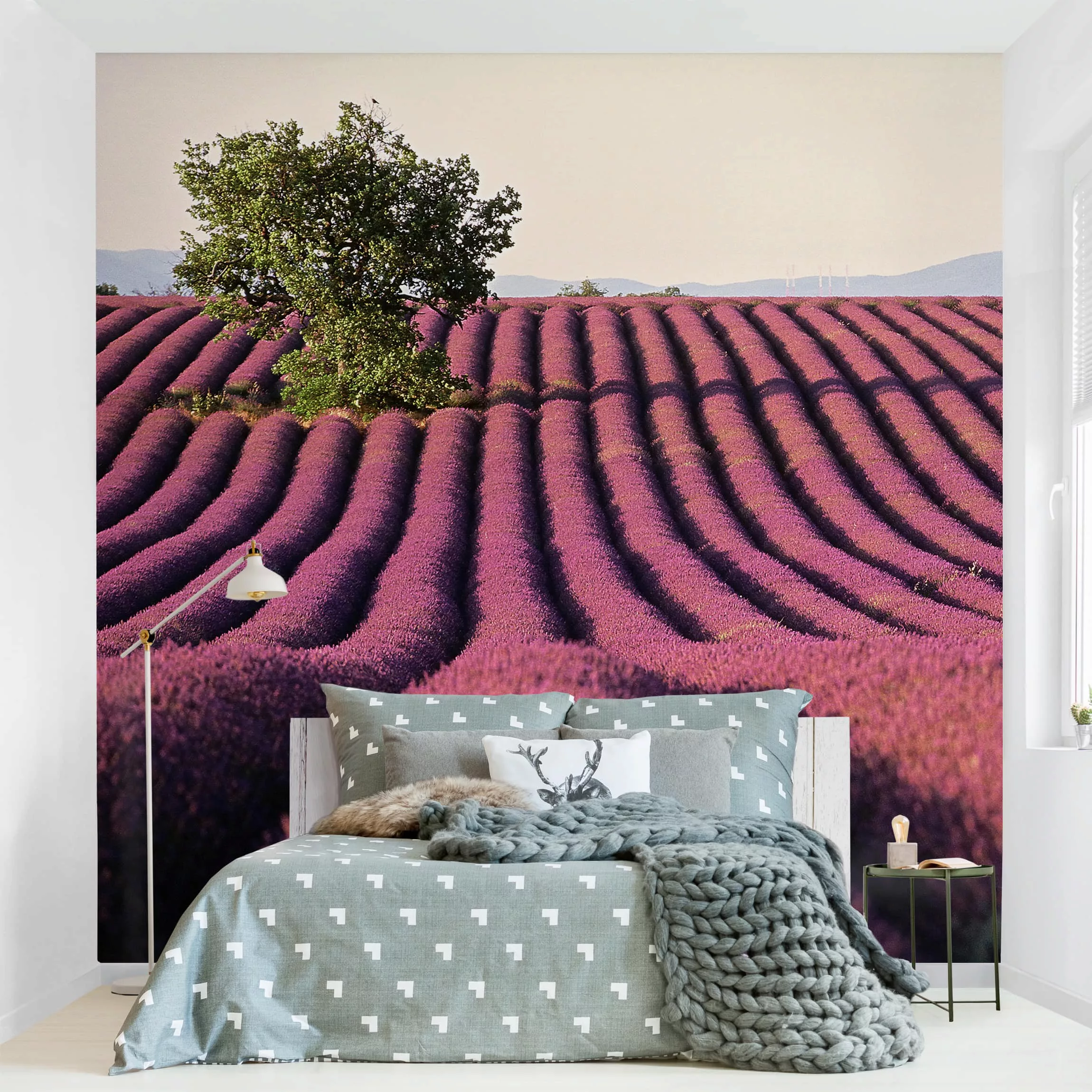 Fototapete Lavender günstig online kaufen