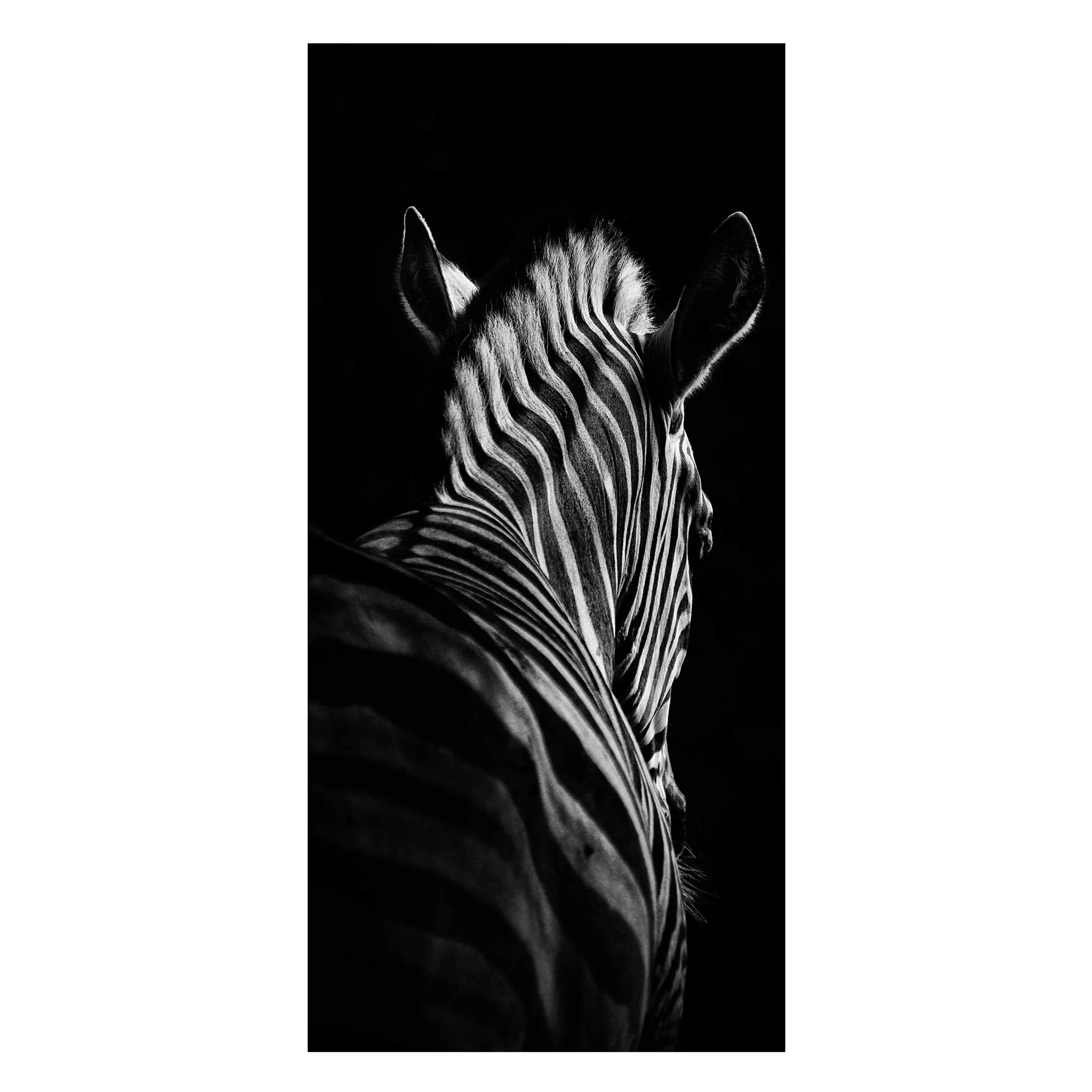 Magnettafel Tiere - Hochformat 1:2 Dunkle Zebra Silhouette günstig online kaufen
