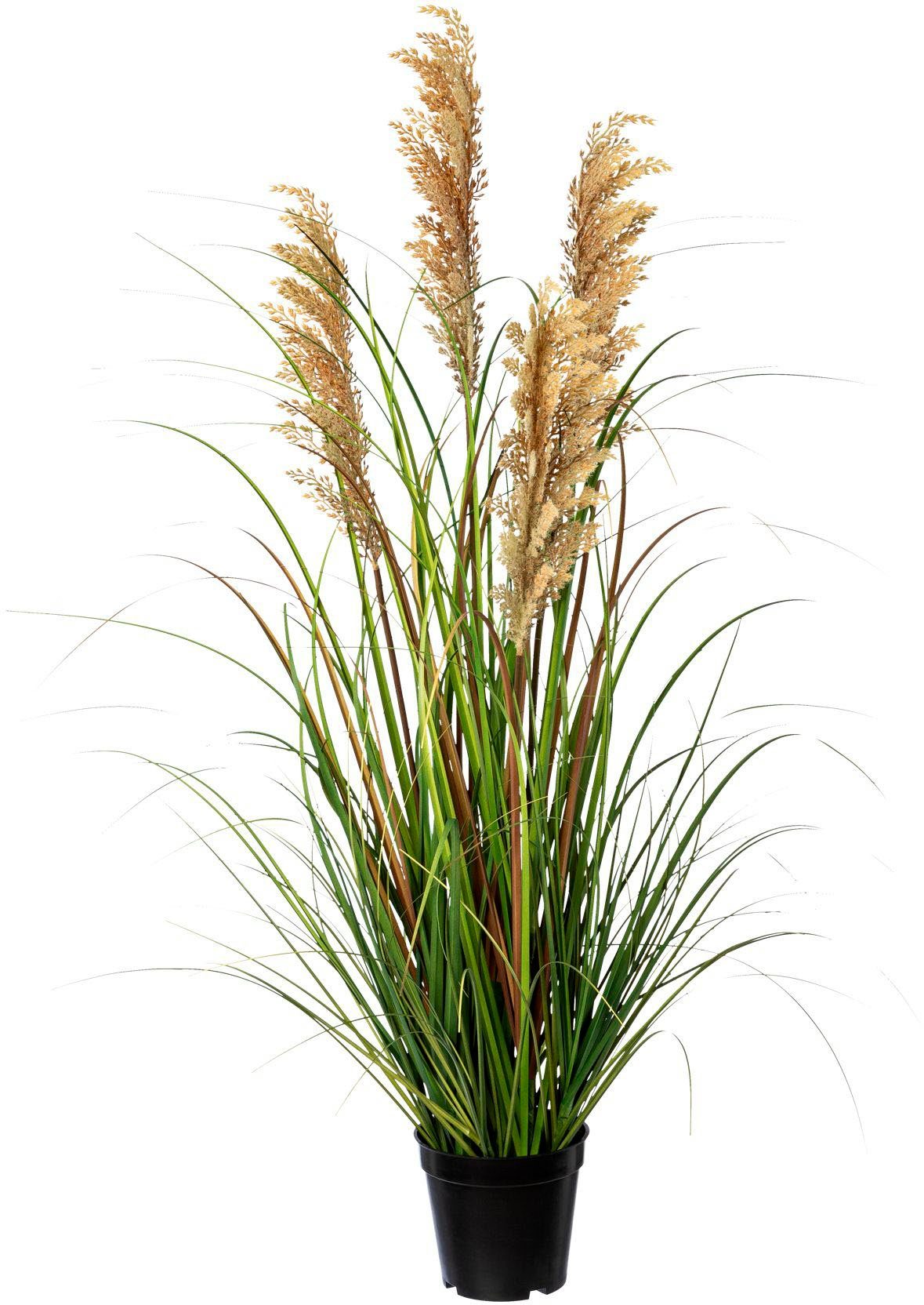 Kunstgras Grasbusch Rispenhirse Gras, Creativ green, günstig online kaufen